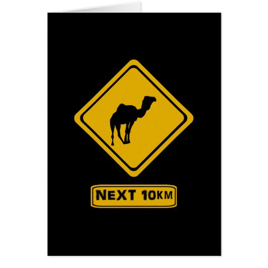 next 10 km camels cards (Front)