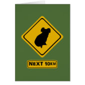 next 10 km koalas (Front)