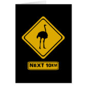 next 10 km ostriches (Front)