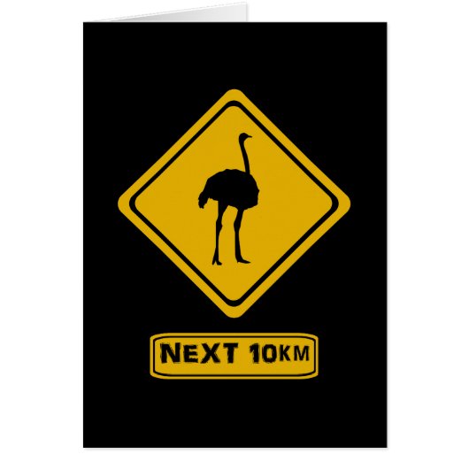 next 10 km ostriches cards (Front)