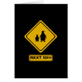 next 10 km penguins (Front)