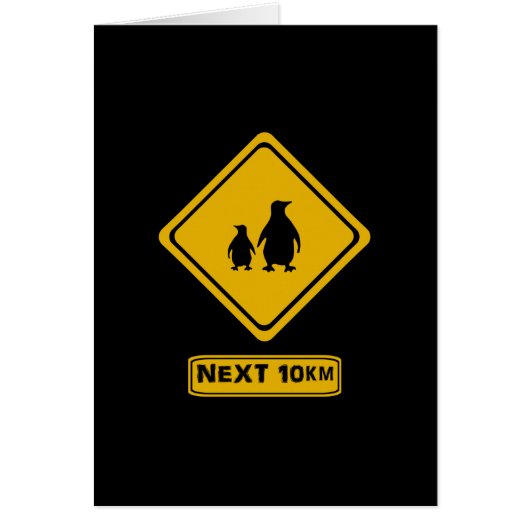 next 10 km penguins cards (Front)