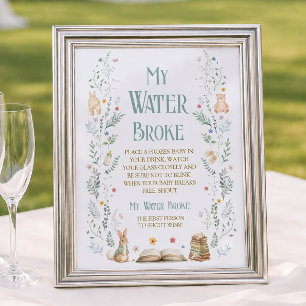 Next Chapter Baby Shower My Water Broke Game Poster