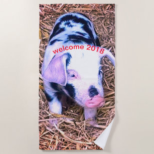 Piglet Beach Towels Zazzle Next Cute Piglet Beach Towel