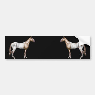 Nez Perce Horse Bumper Sticker