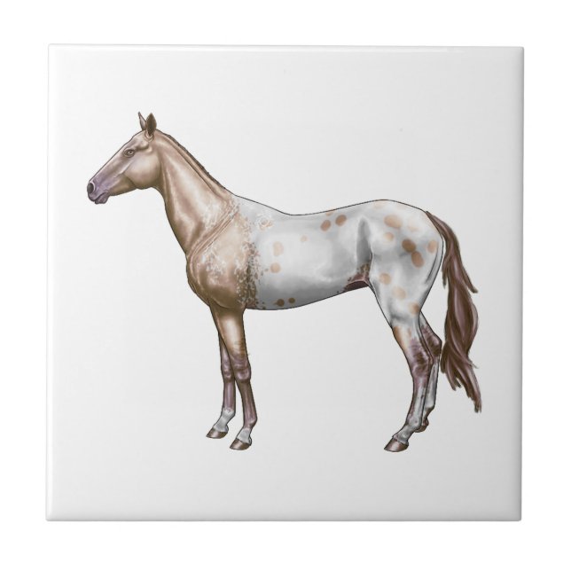 Nez Perce Horse Tile (Front)
