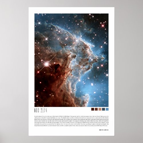 NGC 2174 Head Nebula Poster