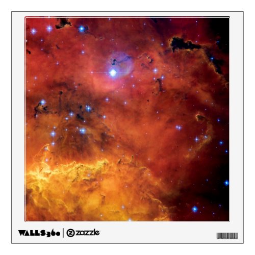 NGC 2467 Nebula _ Hubble Space Telescope Photo Wall Decal