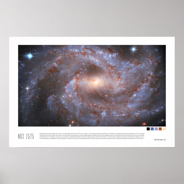 NGC 2525 (Hubble Space Telescope) Poster (Front)