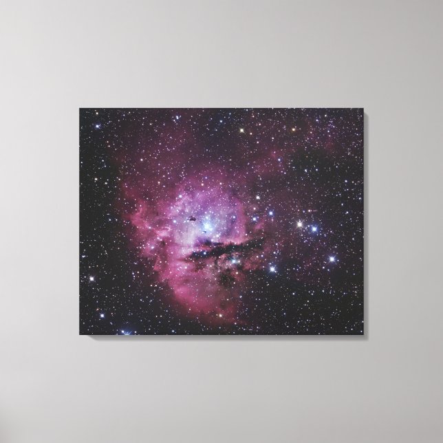 NGC 281, Emission Nebula and Open Cluster in Cassi Canvas Print (Front)