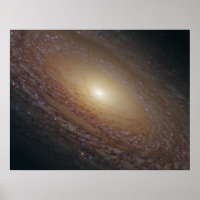 NGC 2841 Spiral Galaxy