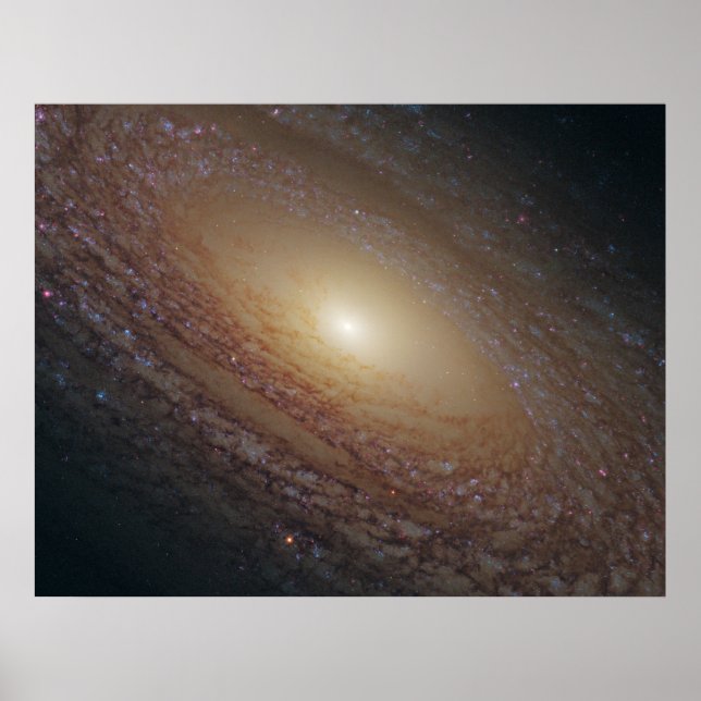 NGC 2841 Spiral Galaxy Poster (Front)