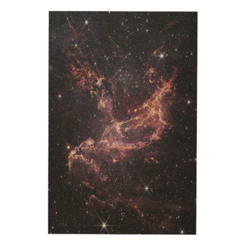 NGC 346 Star Cluster Inside a Nebula  JWST Wood Wall Art