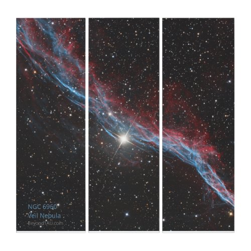 NGC 6960 _ Veil Nebula Triptych