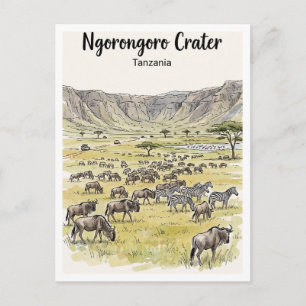 Ngorongoro Crater Karatu Tanzania Postcard
