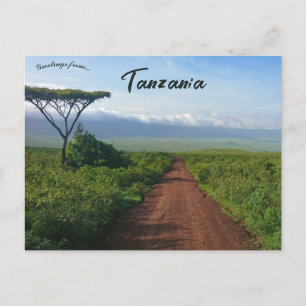 Ngorongoro Crater Tanzania Postcard