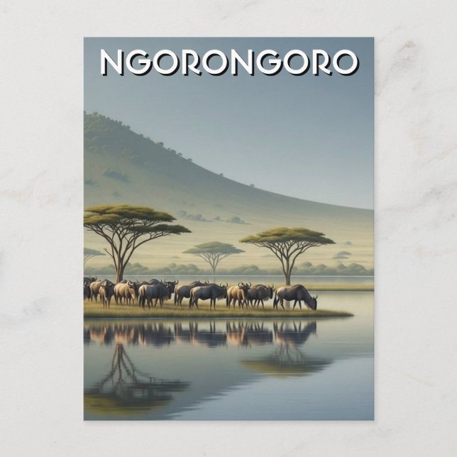 Ngorongoro Tanzania Wildebeest Postcard (Front)