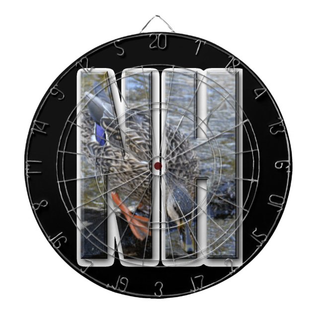 NH NEW HAMPSHIRE DARTBOARD WITH DARTS (Front)