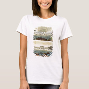 Niagara Falls, 1818 (color engraving) T-Shirt