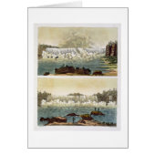 Niagara Falls, 1818 (colour engraving) (Front)