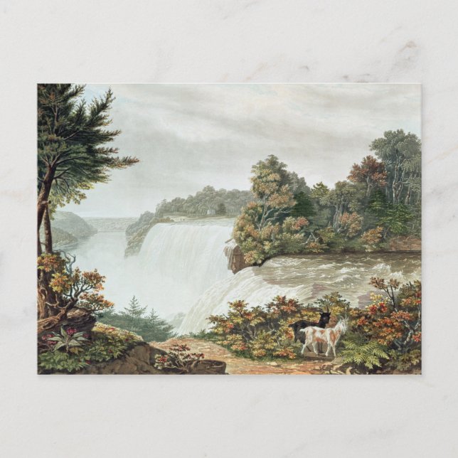 Niagara Falls, from Goat Island Postcard (Front)