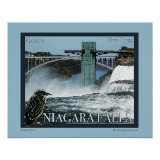 Niagara Falls Poster