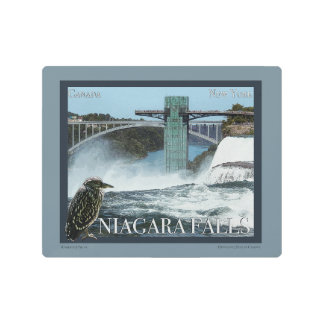 Niagara Falls Poster