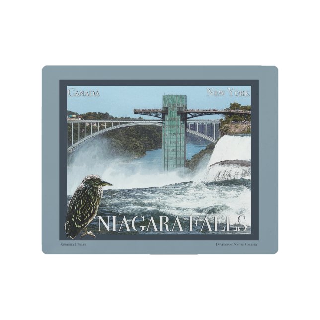 Niagara Falls Poster (Front)