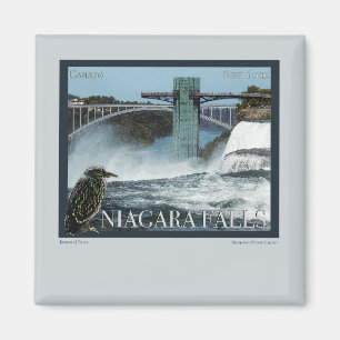 Niagara Falls Poster Magnet