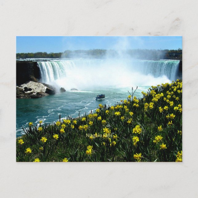 Niagara Falls, Scenic Photograph, Postcard (Front)