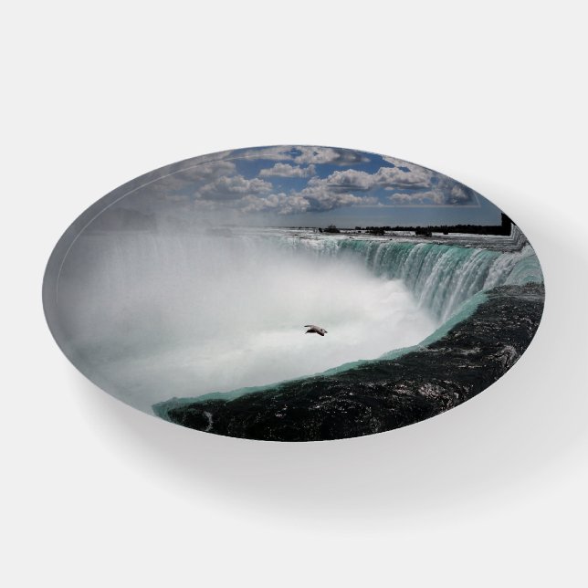 Niagara Falls with Seagull Paperweight (Front)