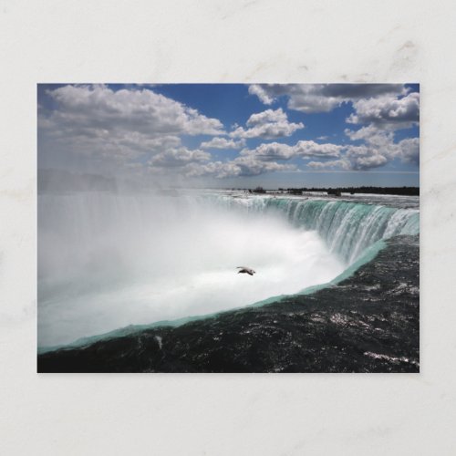 Niagara Falls with Seagull Postcard