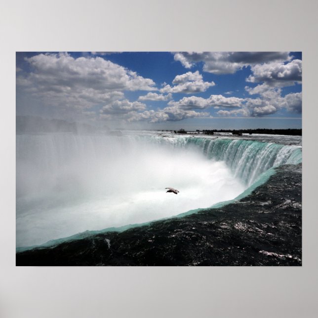 Niagara Falls with Seagull Poster (Front)