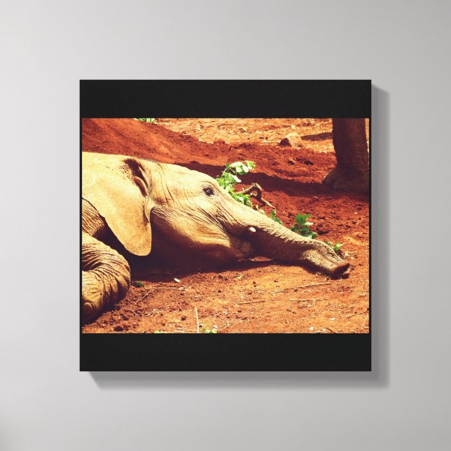 Niarobi Elephant Canvas Print (Front)