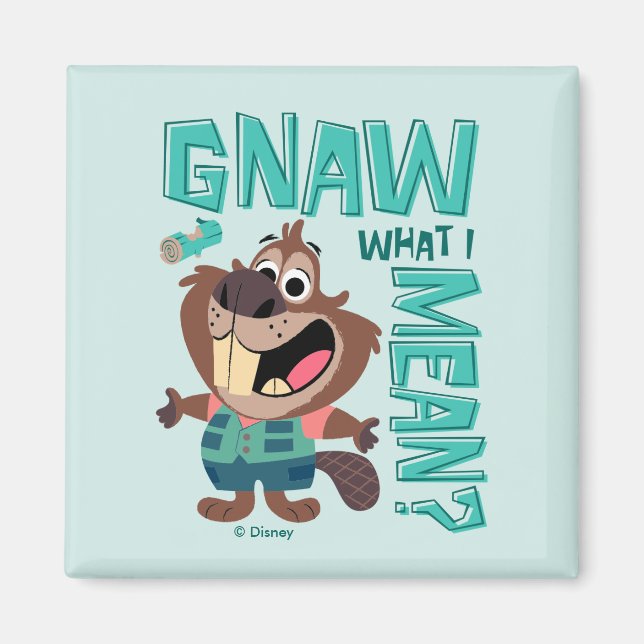 Nibbles Maplestick - Gnaw What I Mean? Magnet (Front)