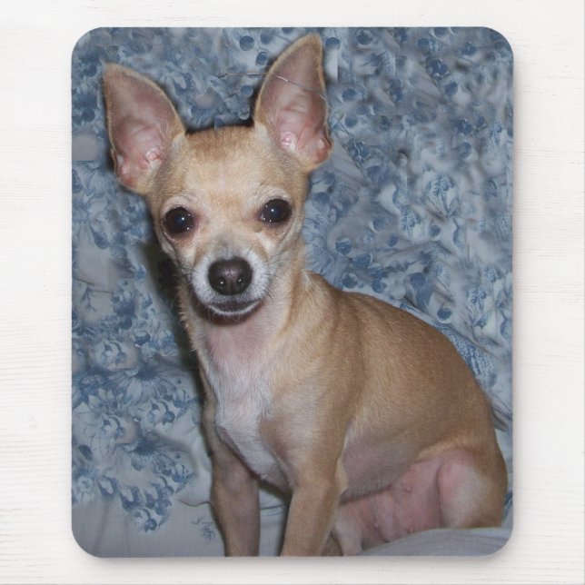 nibblesportrait mouse pad (Front)