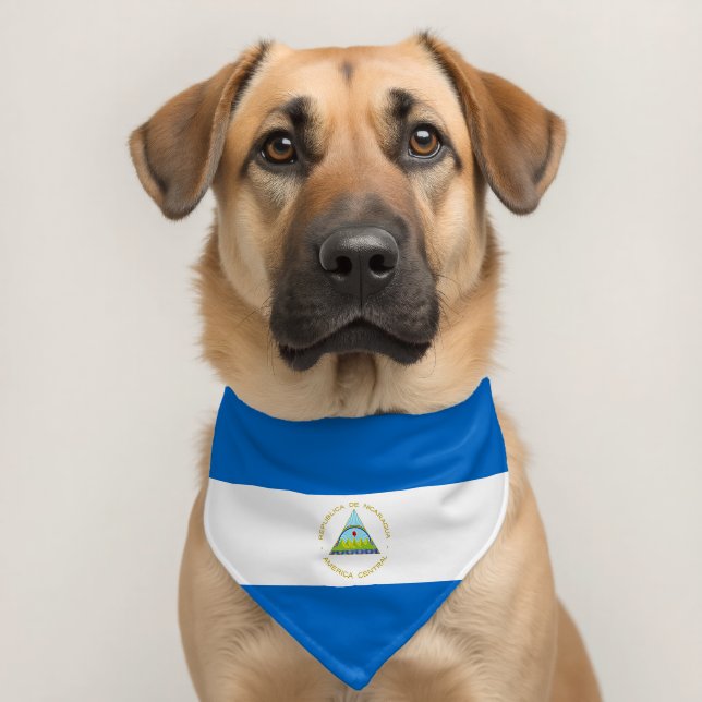 Nicaragua flag pet bandana collar (Dog 2)