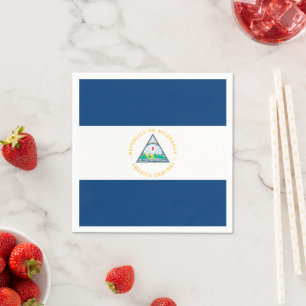 Nicaragua Napkins, Party, Nicaraguan Flag Napkins