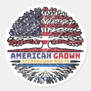 Nicaraguan Nicaragua US American USA United States Classic Round Sticker