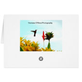 Nicaraguan Sunset Card (Back Horizontal)