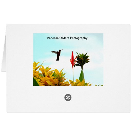 Nicaraguan Sunset Card (Back Horizontal)