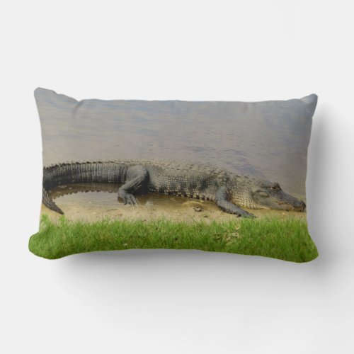 Nice and quiet Florida Alligator Lumbar Pillow