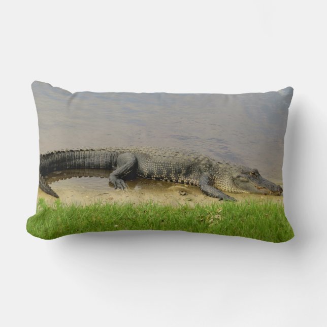 Nice and quiet. Florida Alligator Lumbar Pillow (Front)