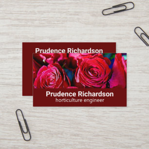 Nice Bunch Of Red Roses Business Card