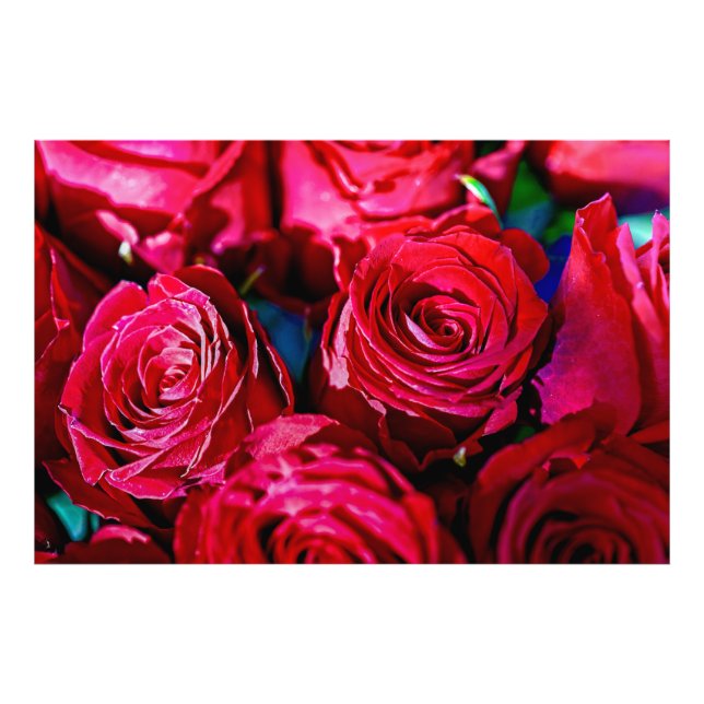 Nice Bunch Of Red Roses Photo Print (Front)