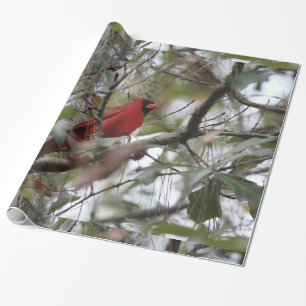Nice Cardinal photo Wrapping Paper