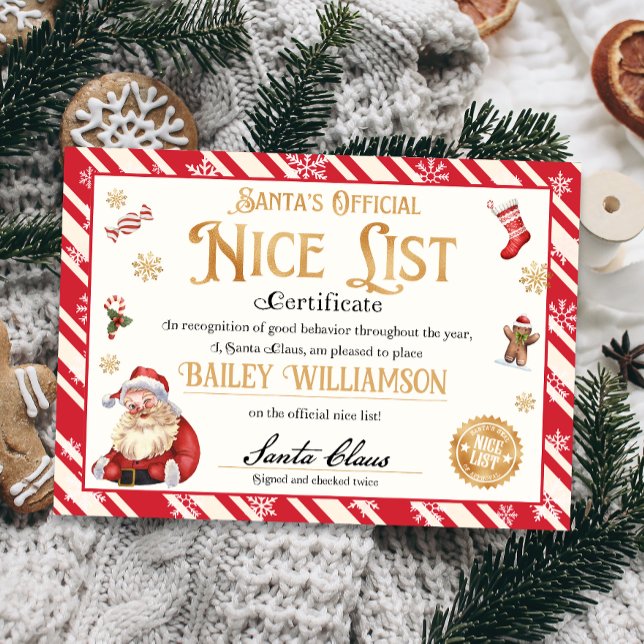 Nice Certificate from Santa Approved Checked Twice Invitation (nice certificate official nice list Santa Claus instant download printable)