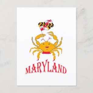 Nice crab in Maryland Postcard