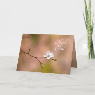 Nice Japanese Apricot Flower Letterpress Thank You Card