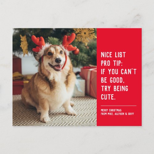 Nice list cute funny red dog Christmas photo Holiday Postcard
